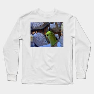 Monterey Bay Study 10 Long Sleeve T-Shirt